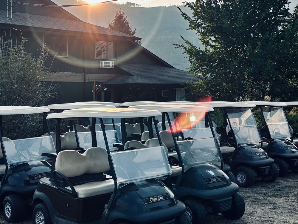 Row of golf carts