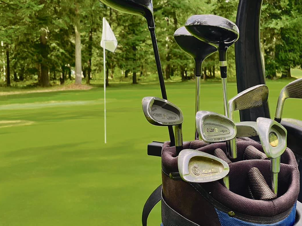 Golf clubs in golf bag in back of golf cart